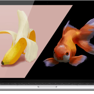 GalleryExhibitionGuideApp